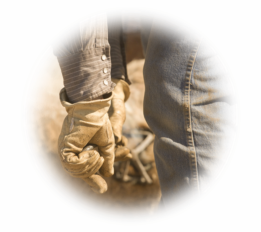 Wycena znaków towarowych